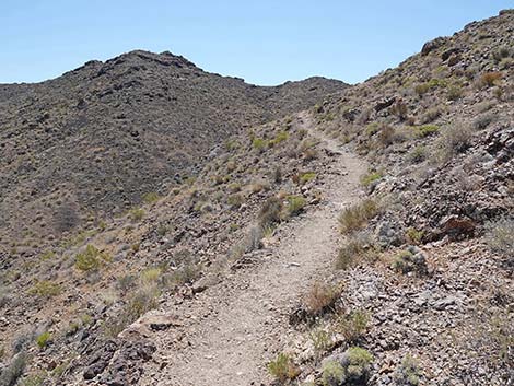 Black Mountain Overlook Trail