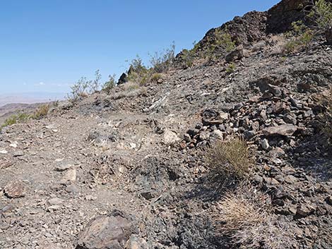 Black Mountain Overlook Trail