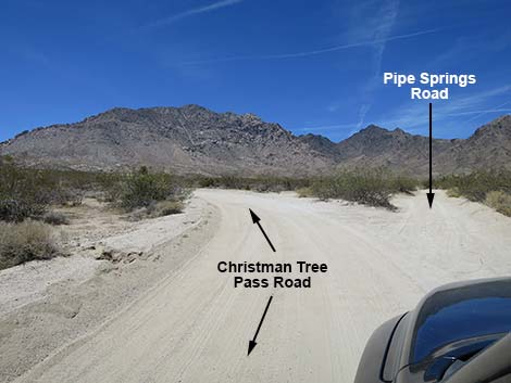 Christmas Tree Pass Road