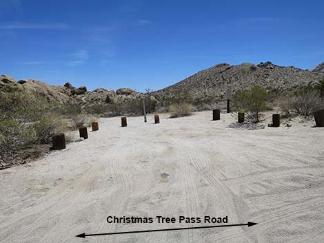Christmas Tree Pass Road