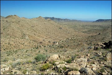 Hiking Around Las Vegas, Mojave National Preserve, Mid Hills Peak
