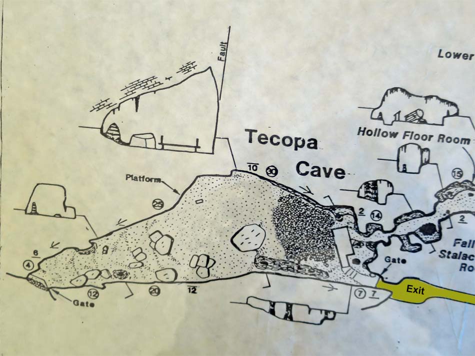 Mitchell Caverns Trail Map