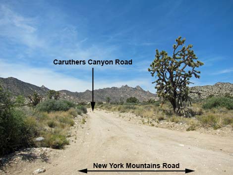 Caruthers Canyon Road