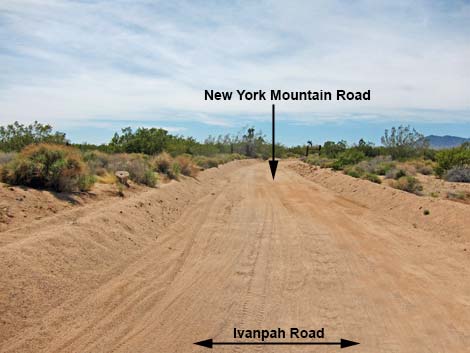 New York Mountain Road