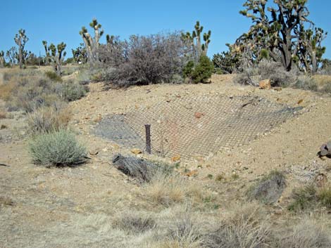 Teutonia Peak Trail