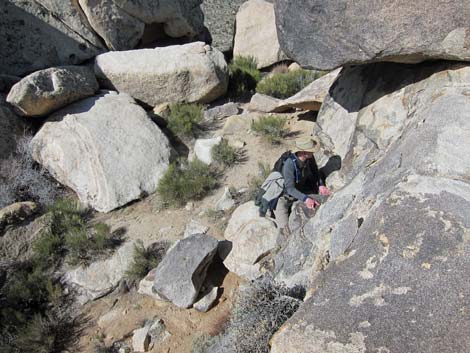 Teutonia Peak Trail