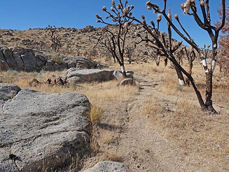 Teutonia Peak Trail