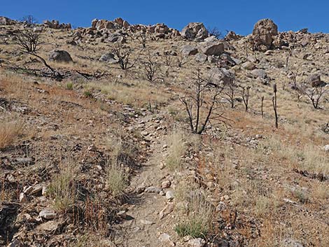 Teutonia Peak Trail