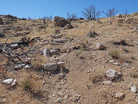 Teutonia Peak Trail