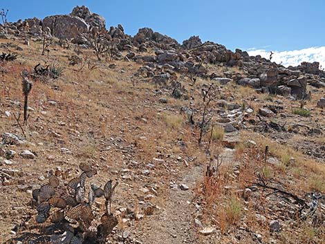 Teutonia Peak Trail