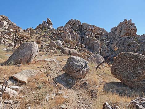 Teutonia Peak Trail