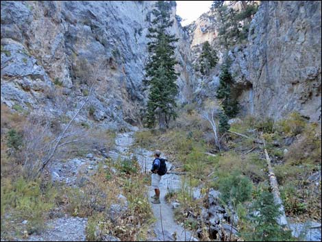 Fletcher Canyon Trail