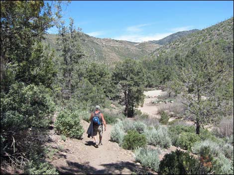 Lovell Canyon Trail