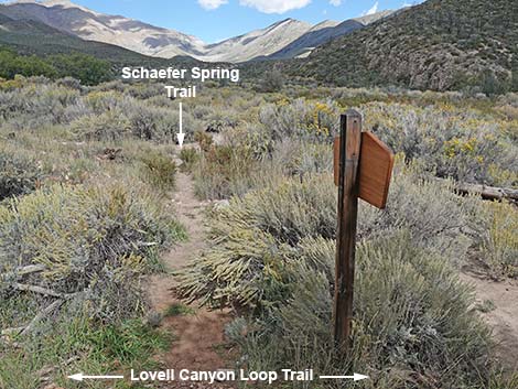 Schaefer Spring Trail
