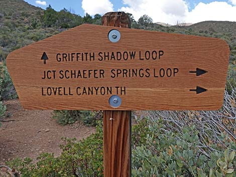 Lovell Canyon Trail