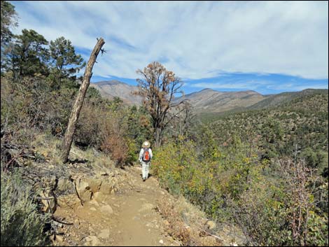 Lovell Canyon Trail