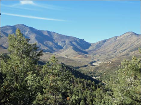 Lovell Canyon Trail