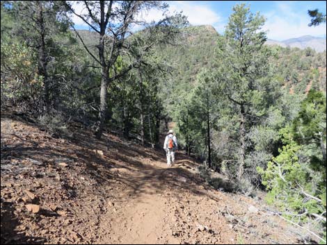 Lovell Canyon Trail