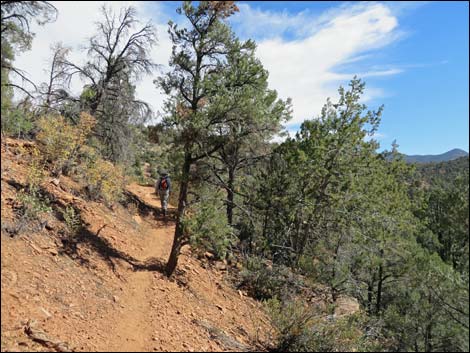 Lovell Canyon Trail