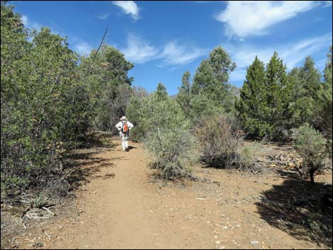 Lovell Canyon Trail