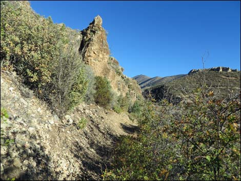 Lovell Canyon Trail
