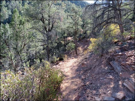 Lovell Canyon Trail