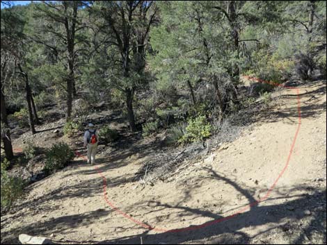 Lovell Canyon Trail