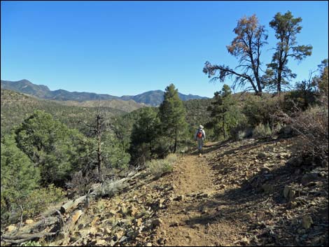 Lovell Canyon Trail