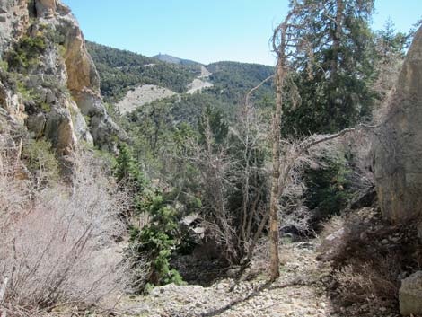 Robbers Roost Trail