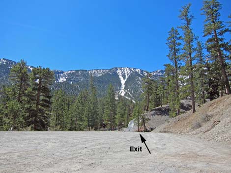 Lower Bristlecone Trailhead