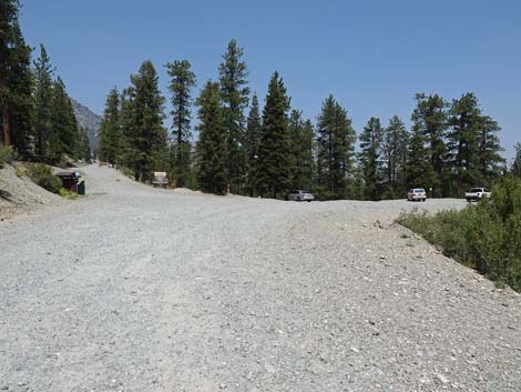 Lower Bristlecone Trailhead