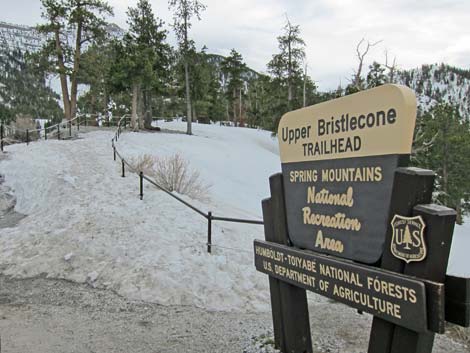 Upper Bristlecone Trailhead