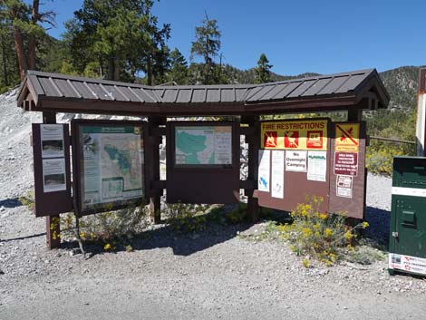 Upper Bristlecone Trailhead