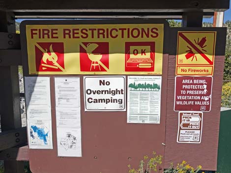 Upper Bristlecone Trailhead