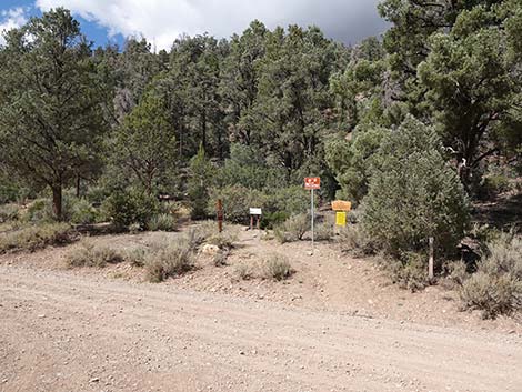 Lovell Canyon Trail