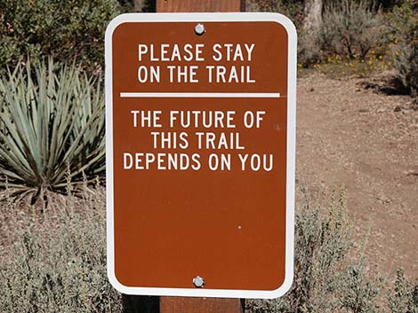 Lovell Canyon Trailhead