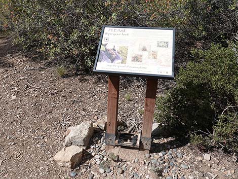 Lovell Canyon Trail