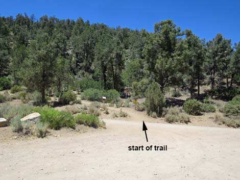 Lovell Canyon Trailhead