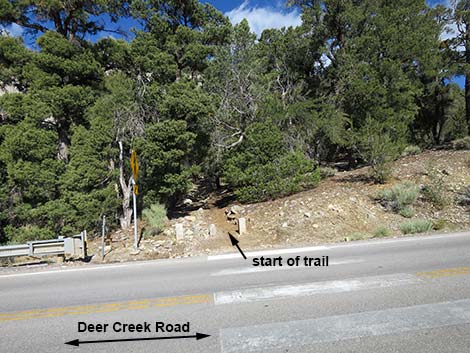 Robber's Roost Trailhead