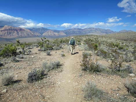 Second Finger Trail