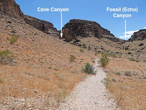 Fossil Canyon Loop