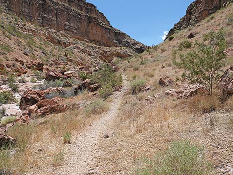 Fossil Canyon Loop