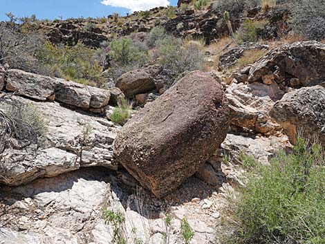 Fossil Canyon