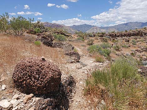 Fossil Canyon