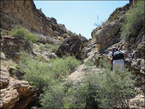 Fossil Canyon