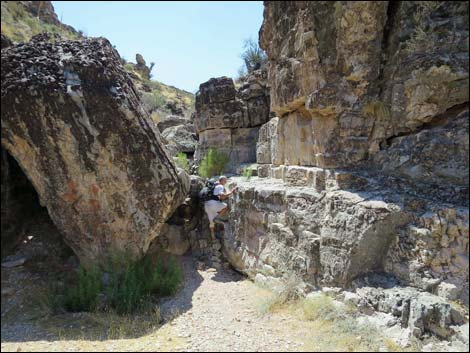 Fossil Canyon Loop