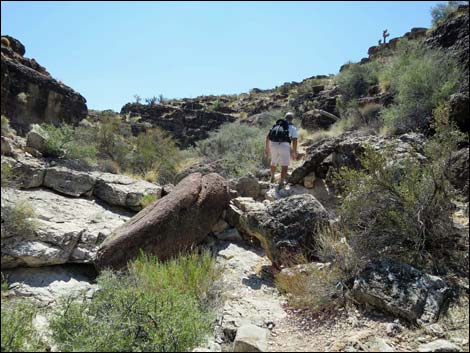 Fossil Canyon