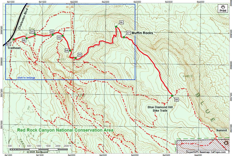 Muffin Trail Map