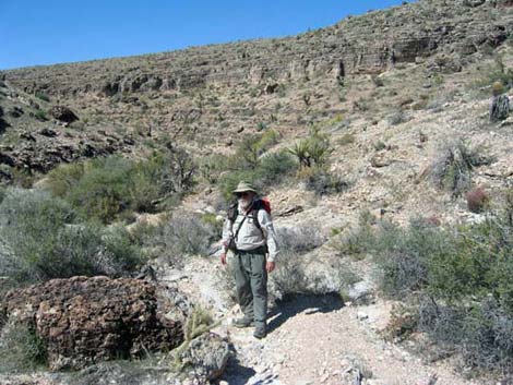 Blue Diamond Hill Trails