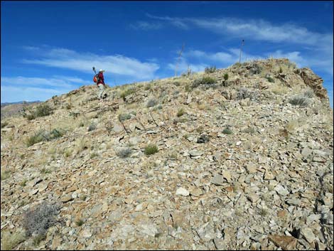 Birdspring Peak